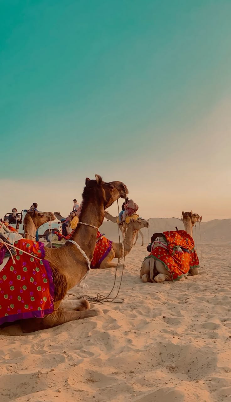 Rajasthan